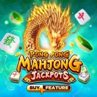 Hai chú gà đang đá nhau trong trận đấu
